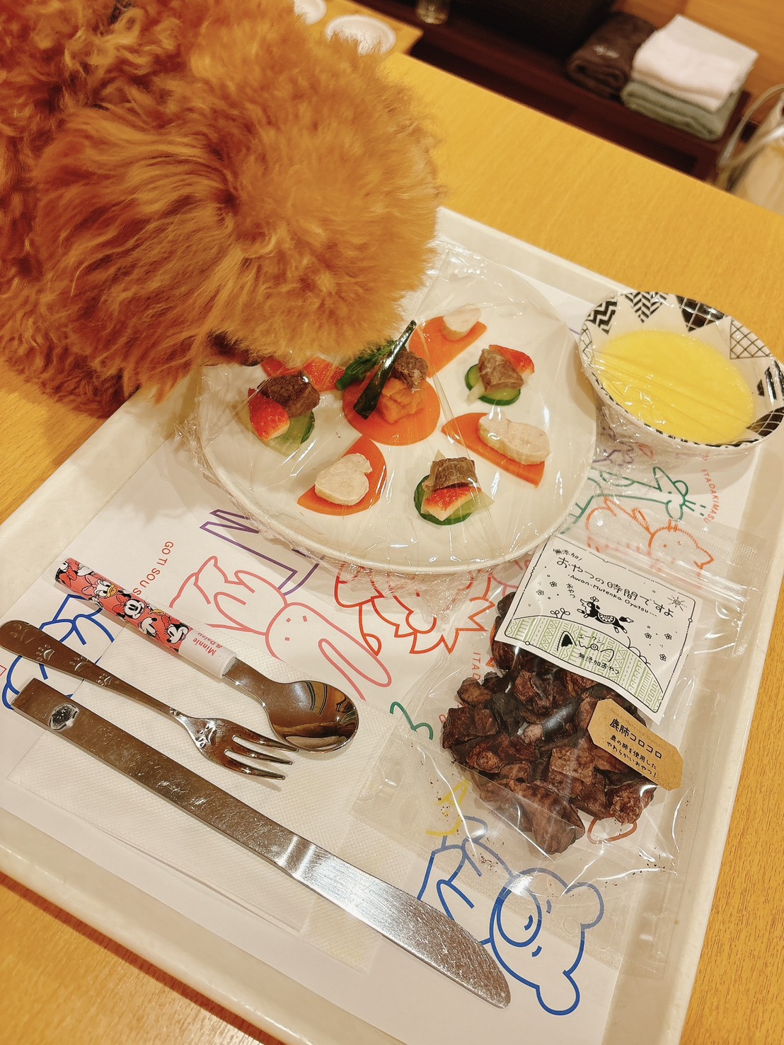 KaZeDoG 犬のご飯